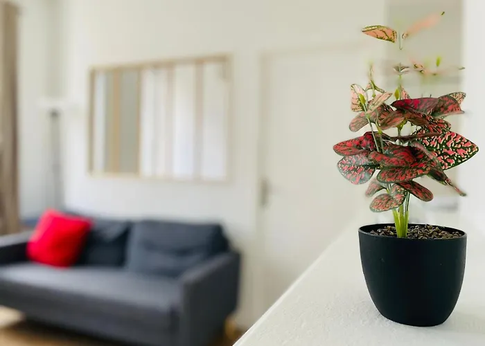 Le Petit Refuge Ideal A - 432 * Rouen